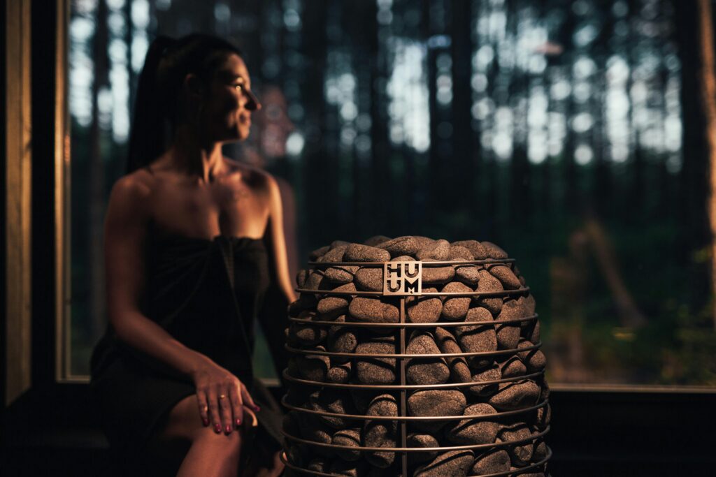 sauna heater Modern sauna heater, choosing a home sauna